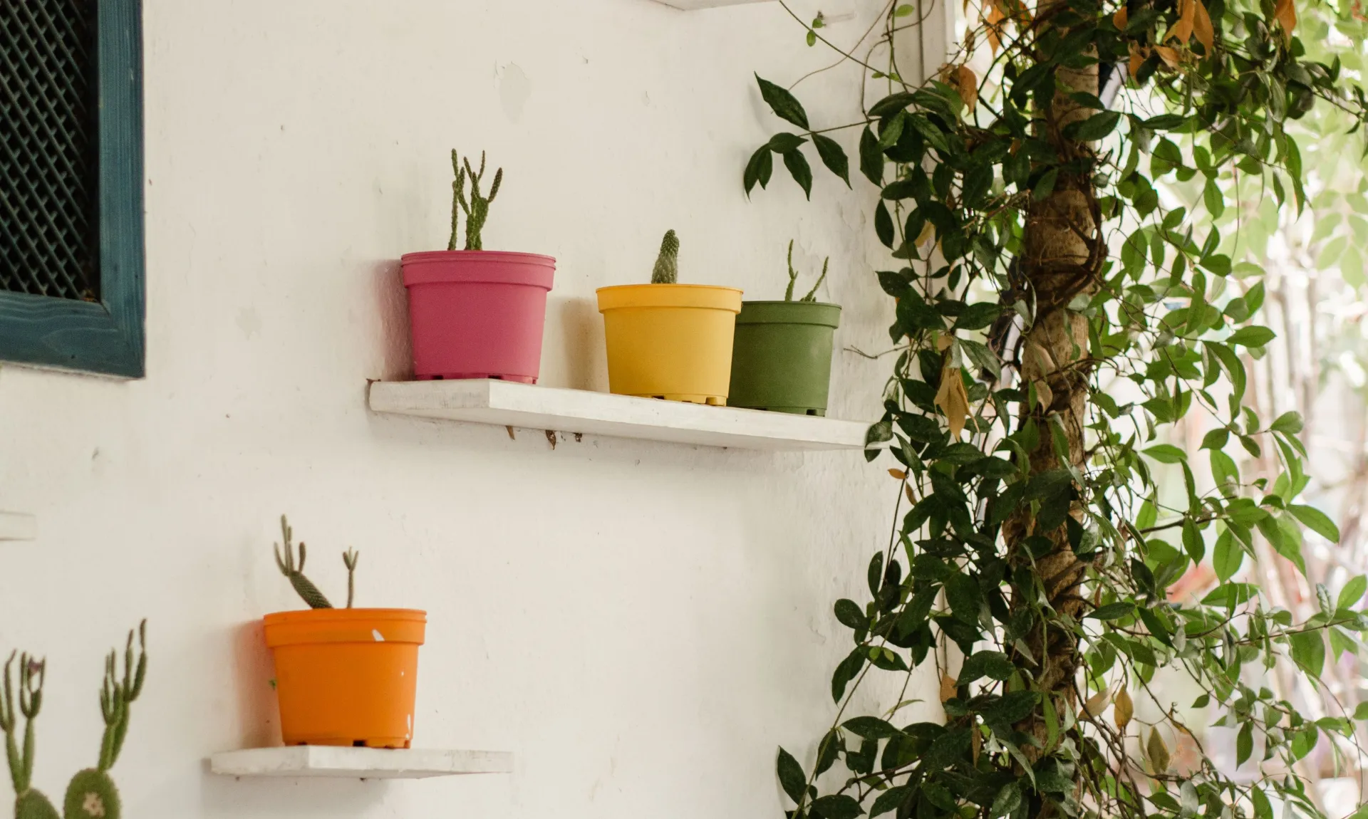 DIY home decor ideas for beginners featuring colorful painted plant pots displayed on floating shelves for an easy budget-friendly decor update