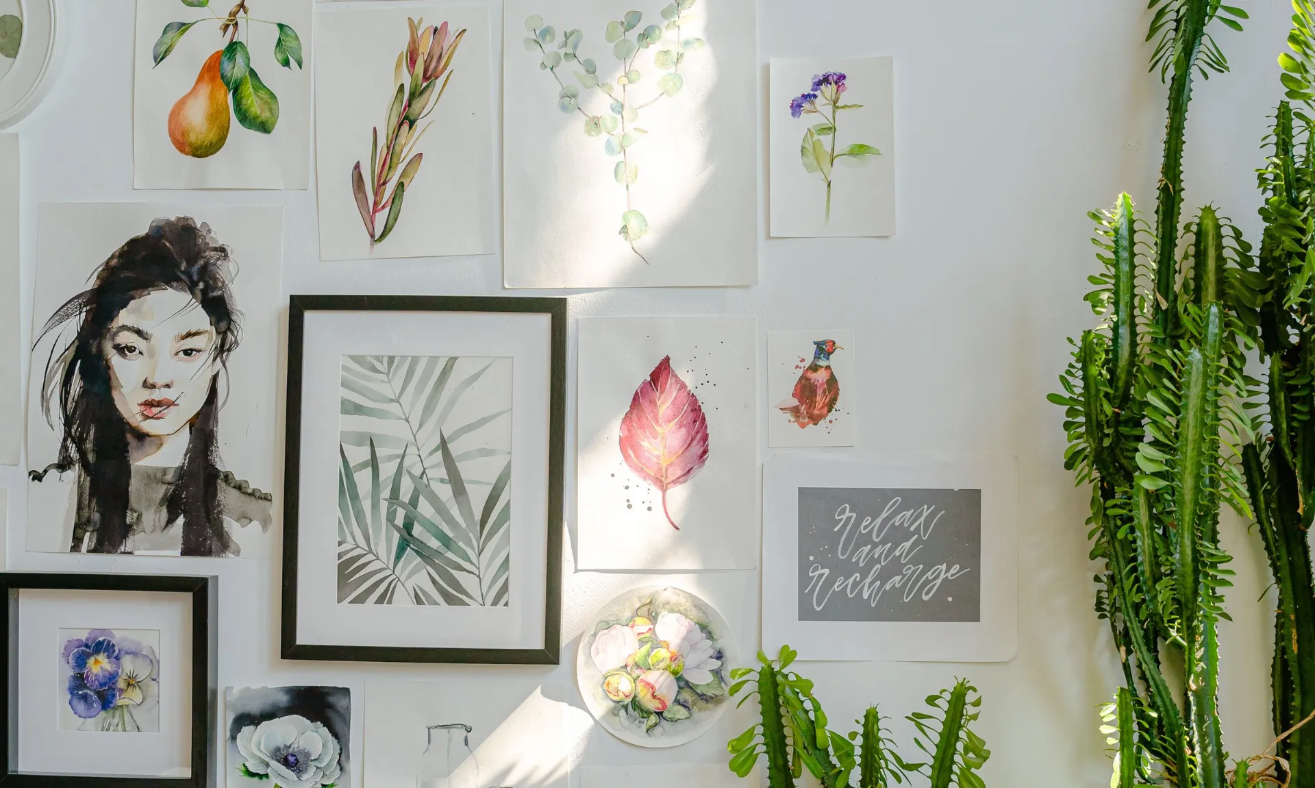 DIY home decor ideas for beginners featuring a creative gallery wall with framed botanical prints, artwork, and plants in a bright living space