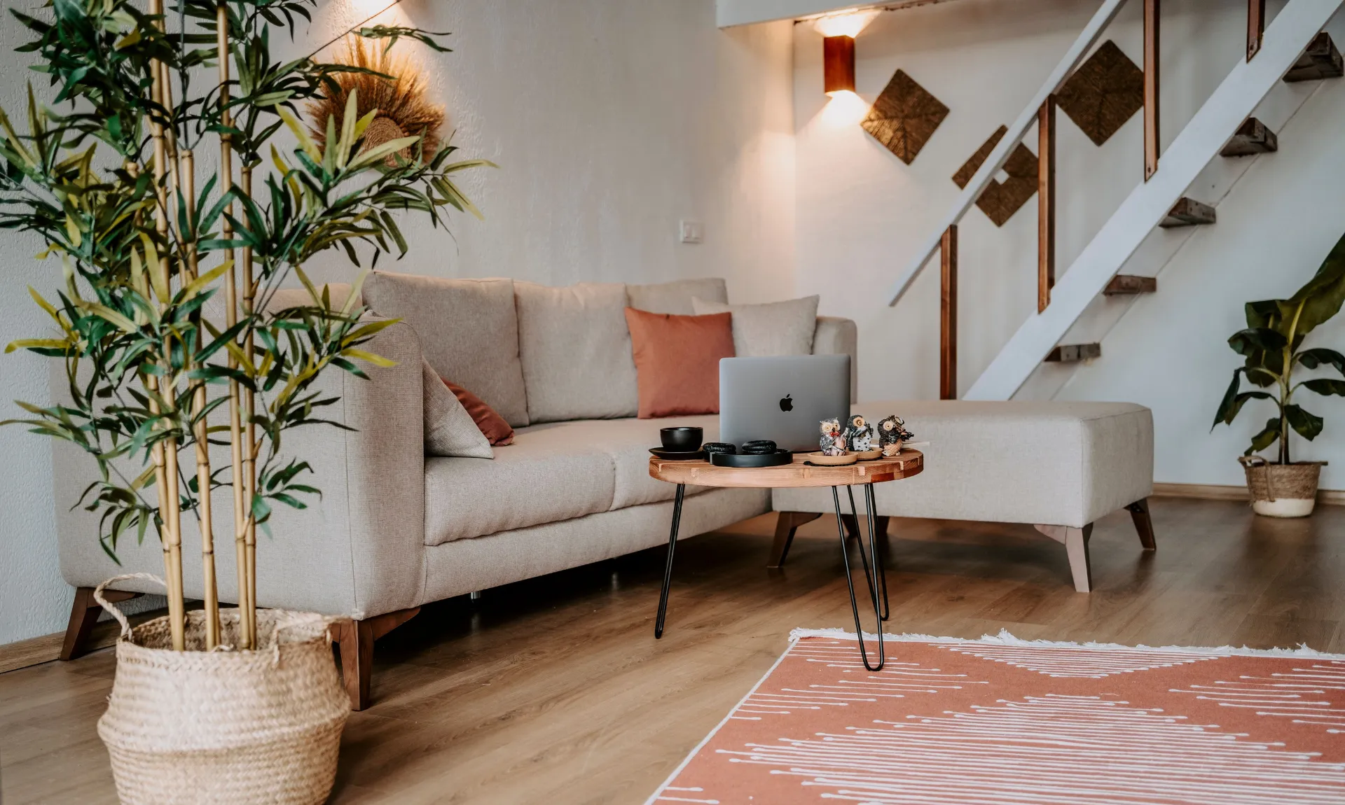 small living room with a sofa and planter