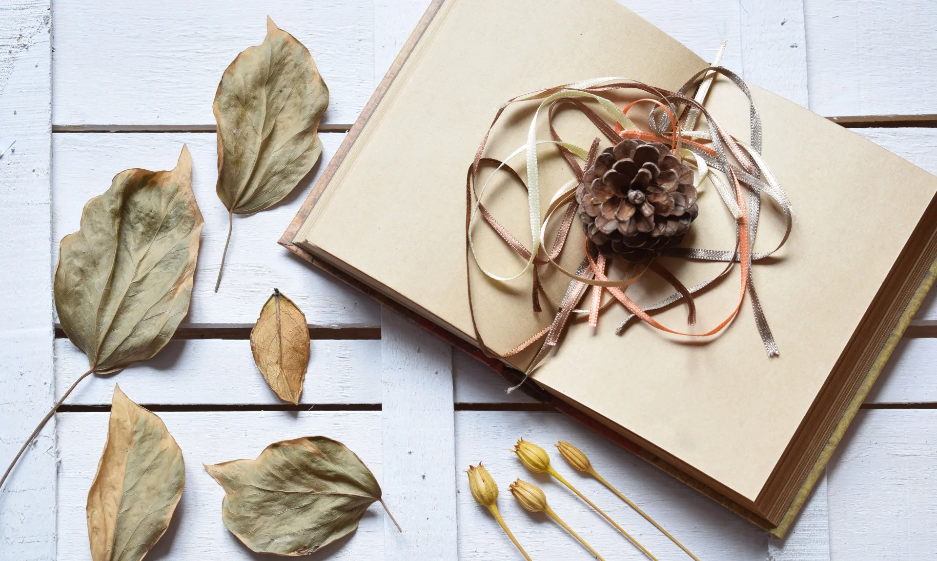 scrap book and dry leaves